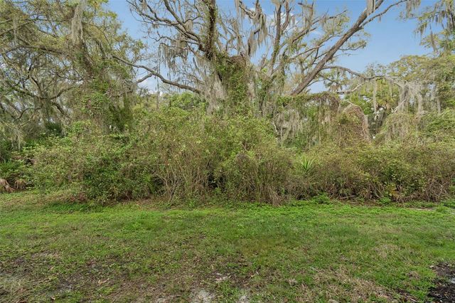 20112 INDIAN ROSEWOOD DRIVE, Tampa, FL 33647