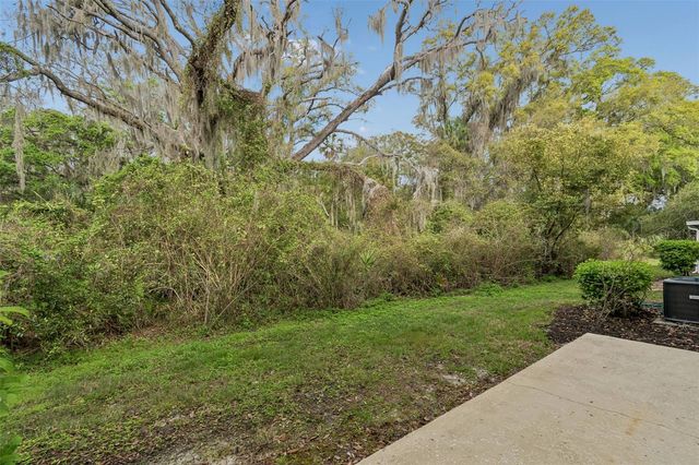 20112 INDIAN ROSEWOOD DRIVE, Tampa, FL 33647