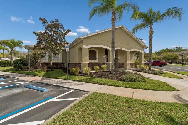 20112 INDIAN ROSEWOOD DRIVE, Tampa, FL 33647