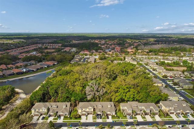 20112 INDIAN ROSEWOOD DRIVE, Tampa, FL 33647