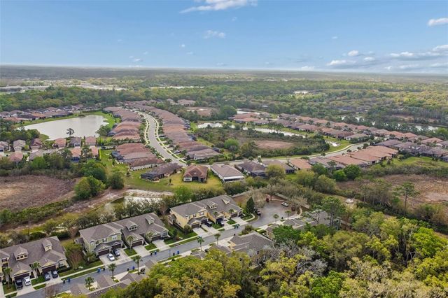 20112 INDIAN ROSEWOOD DRIVE, Tampa, FL 33647