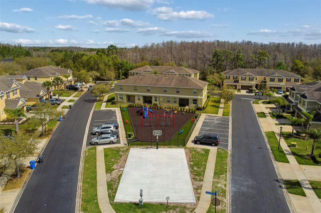 20112 INDIAN ROSEWOOD DRIVE, Tampa, FL 33647