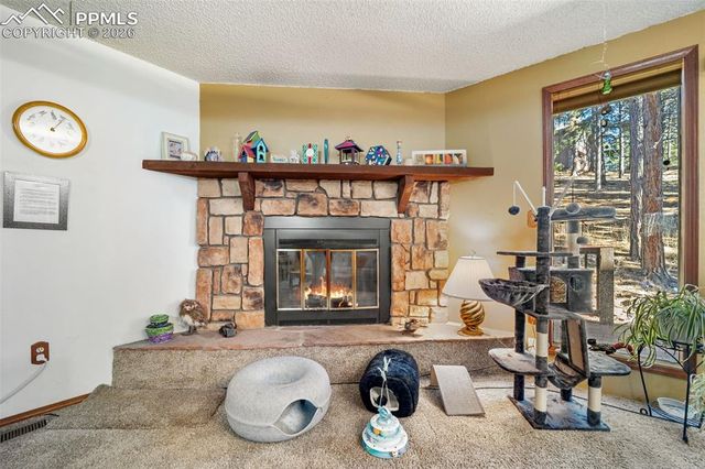 554 Manor Court C, Woodland Park, CO 80863