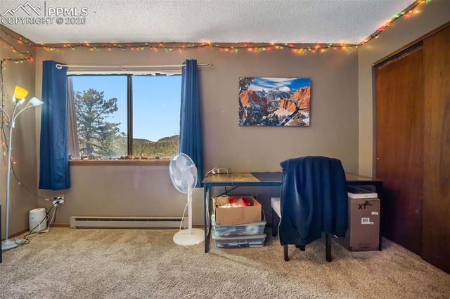554 Manor Court C, Woodland Park, CO 80863