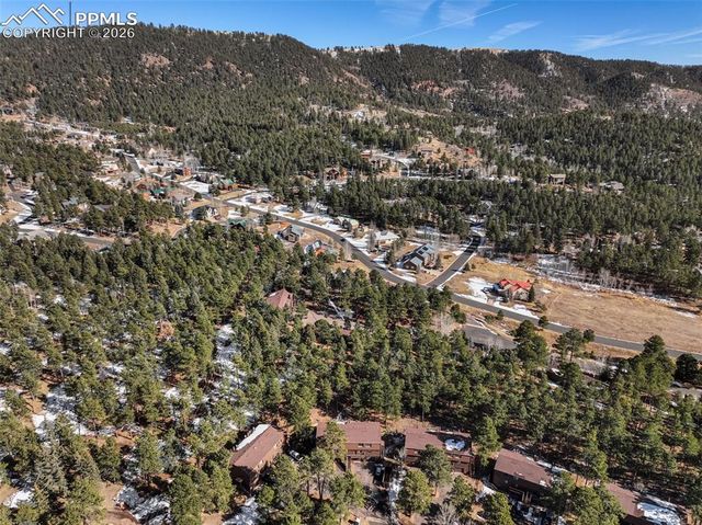 554 Manor Court C, Woodland Park, CO 80863