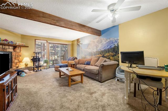 554 Manor Court C, Woodland Park, CO 80863