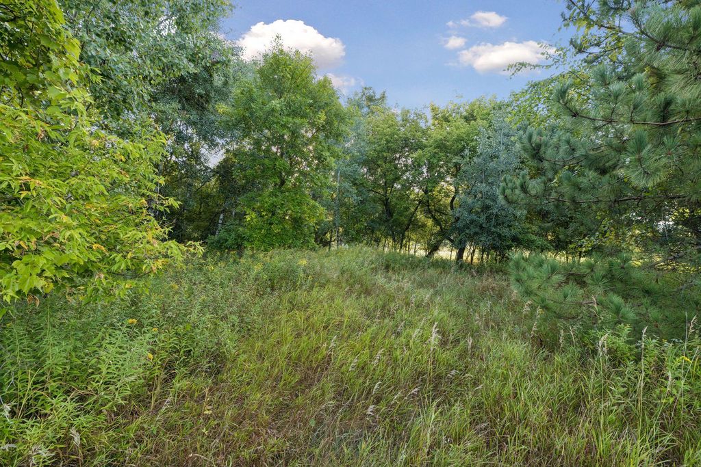 193XX N Newgate Avenue, Marine On Saint Croix, MN 55047 — photo 3