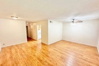 1115 N Austin Street, Denton, TX 76201