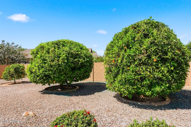 4607 S HASSETT Circle, Mesa, AZ 85212