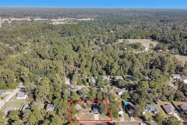 12132 Brazos Drive, Willis, TX 77378