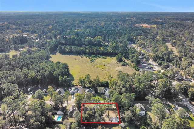 12132 Brazos Drive, Willis, TX 77378