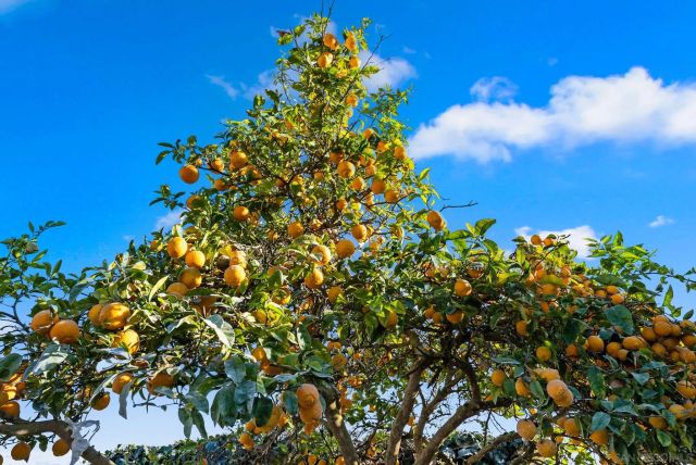 2729 Gobat Avenue, San Diego, CA 92122