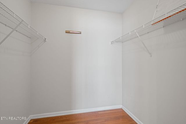 178 Sycamore Drive, Jacksboro, TN 37757