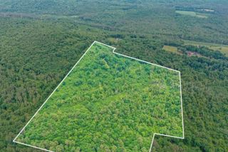 231 Mutton Road, Webster, NH 03303