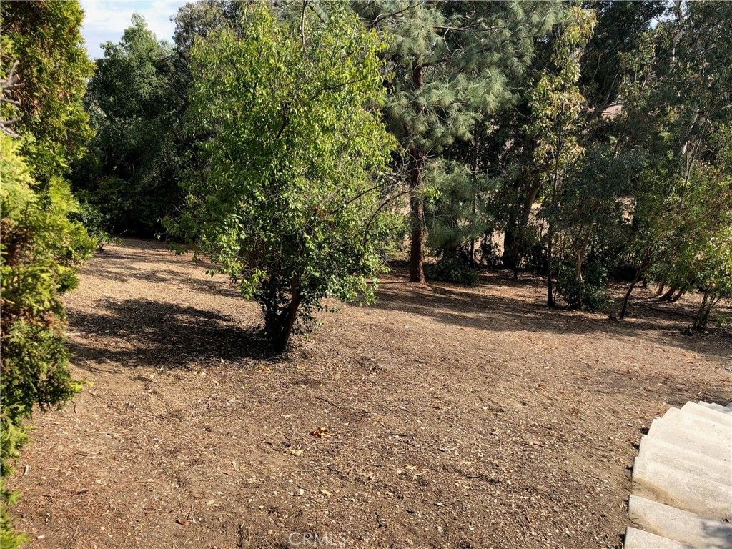 24030 Shotgun Lane, Diamond Bar, CA 91765 — photo 5