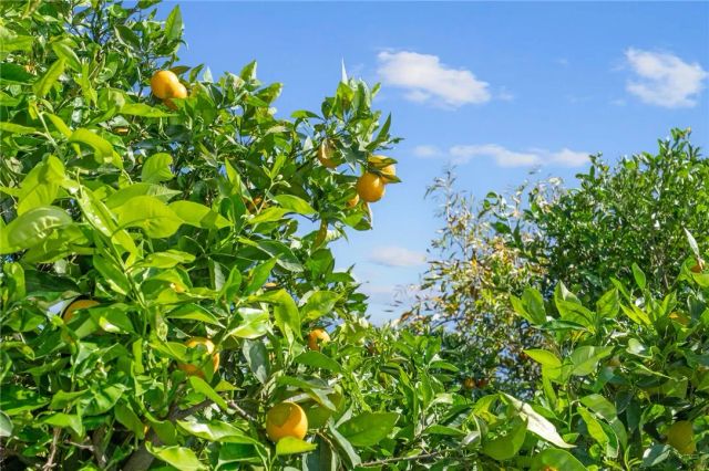 7905 Amethyst, Rancho Cucamonga, CA 91730