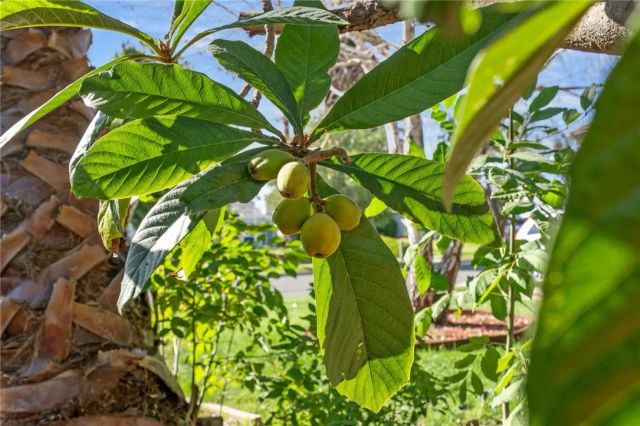 7905 Amethyst, Rancho Cucamonga, CA 91730