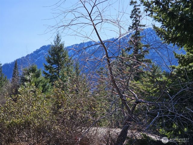 12 Anna Bell Drive, Ronald, WA 98940