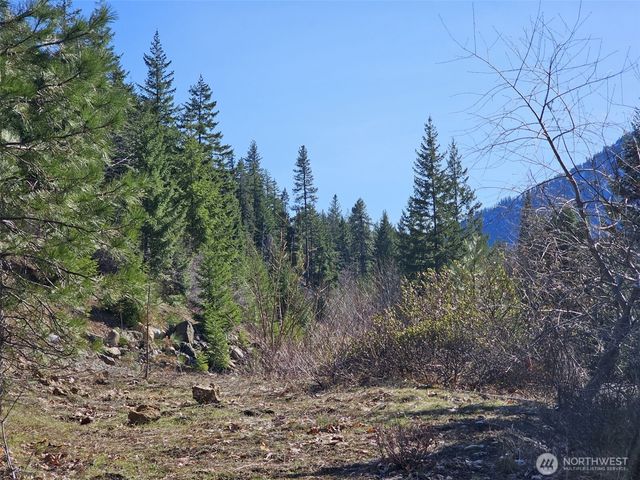 12 Anna Bell Drive, Ronald, WA 98940
