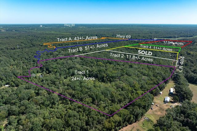 Tract 1 County Road 484, Mineola, TX 75773