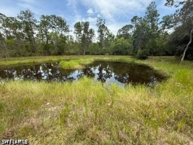 985 Honeybee DR, Naples, FL 34120