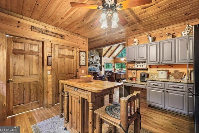 58 River Road, Cherry Log, GA 30522