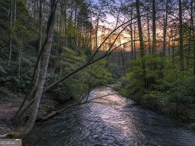 58 River Road, Cherry Log, GA 30522
