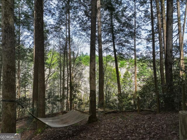58 River Road, Cherry Log, GA 30522