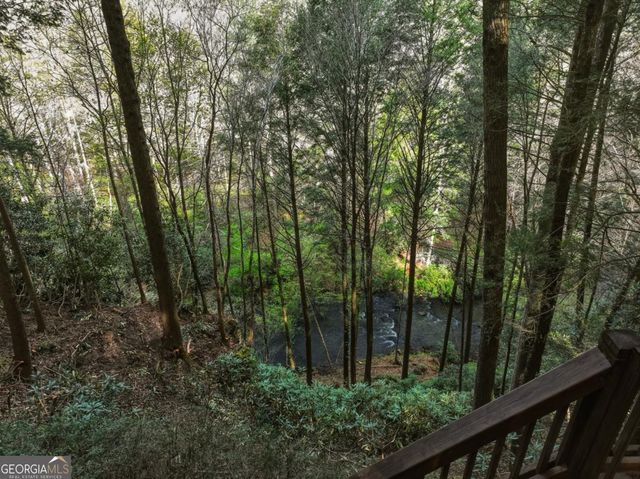 58 River Road, Cherry Log, GA 30522