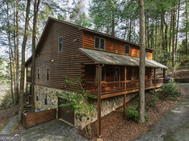 58 River Road, Cherry Log, GA 30522