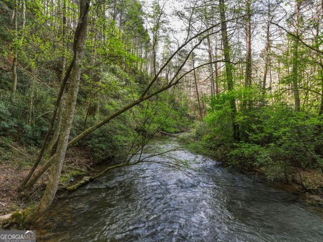 58 River Road, Cherry Log, GA 30522