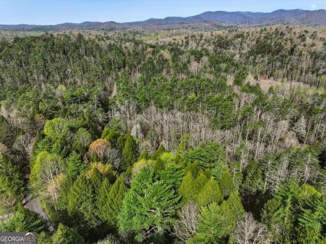 58 River Road, Cherry Log, GA 30522