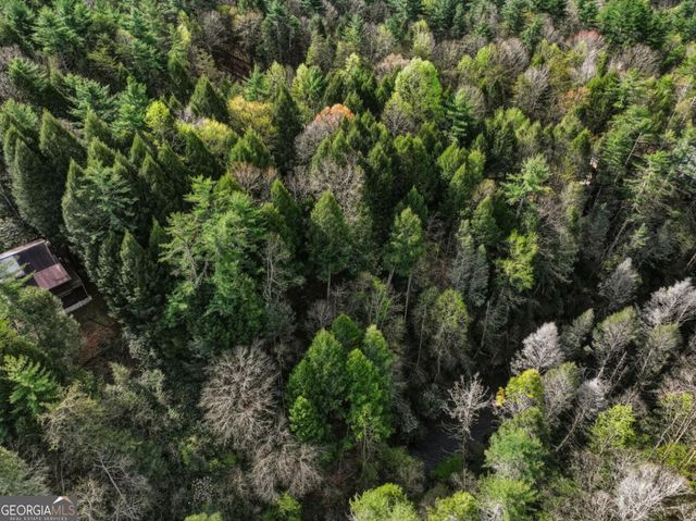58 River Road, Cherry Log, GA 30522