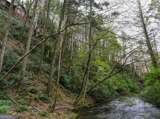 58 River Road, Cherry Log, GA 30522