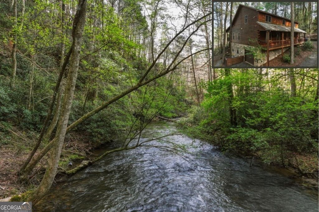 58 River Road, Cherry Log, GA 30522