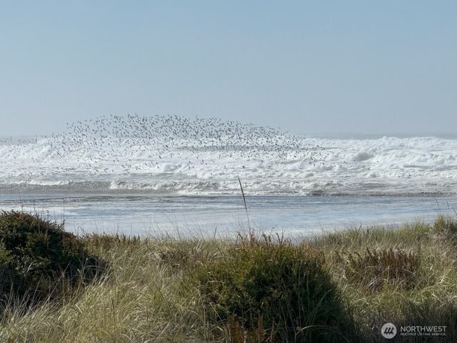 32805 G Street, Ocean Park, WA 98640