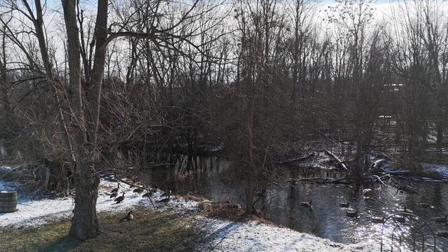 7525 Huron River Drive, Webster Twp, MI 48130