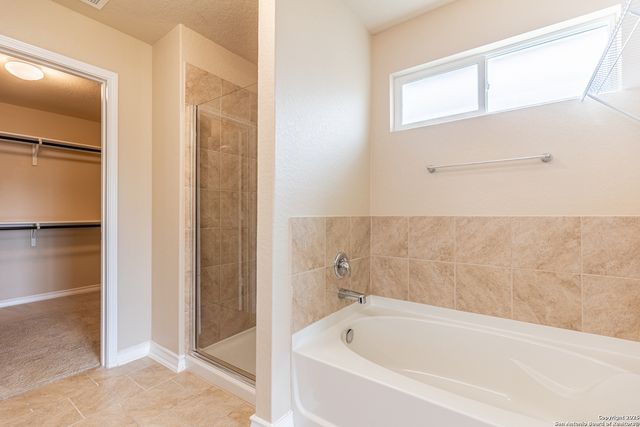 15458 BOBWHITE QUAIL, San Antonio, TX 78253