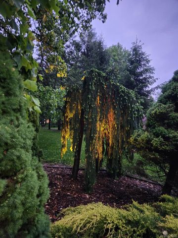 4 Mountain Brook Road, Cornwall, NY 12518