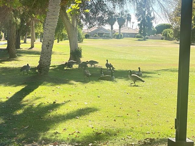 82567 Avenue 48 36, Indio, CA 92201