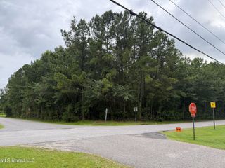Pine Cone Drive, Gautier, MS 39553