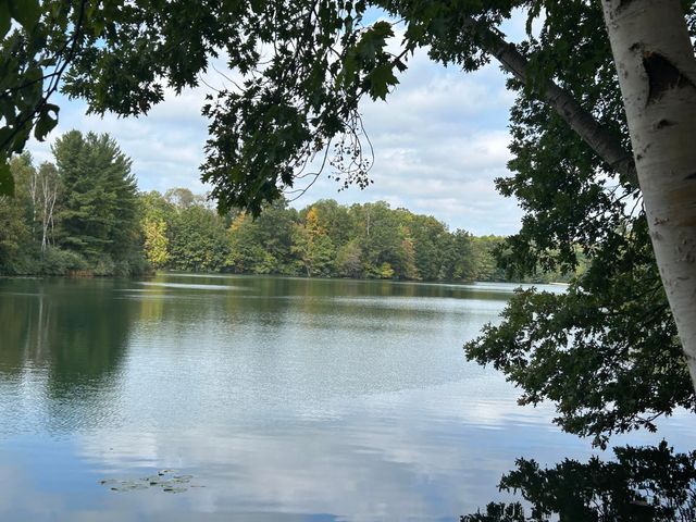 8601 N. Island Drive 41, Canadian Lakes, MI 49346