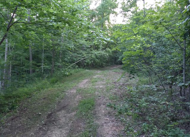 1737C High Rock Road, Stanton, KY 40380