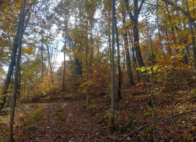 1737C High Rock Road, Stanton, KY 40380