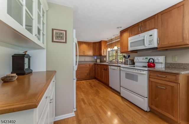 1100 Stanton Lebanon Rd, Clinton Twp., NJ 08833
