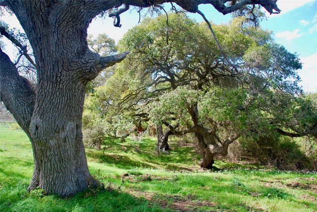 494 County Road 217c, Schulenburg, TX 78956