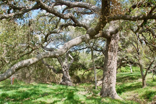 494 County Road 217c, Schulenburg, TX 78956