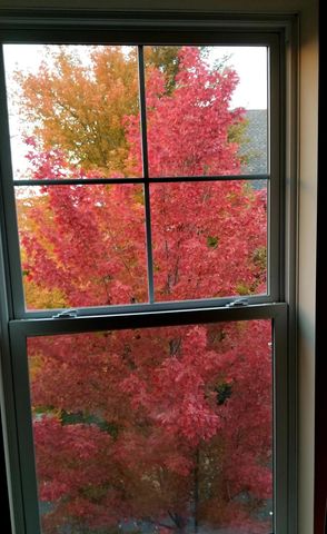 12303 82nd Avenue N, Maple Grove, MN 55369