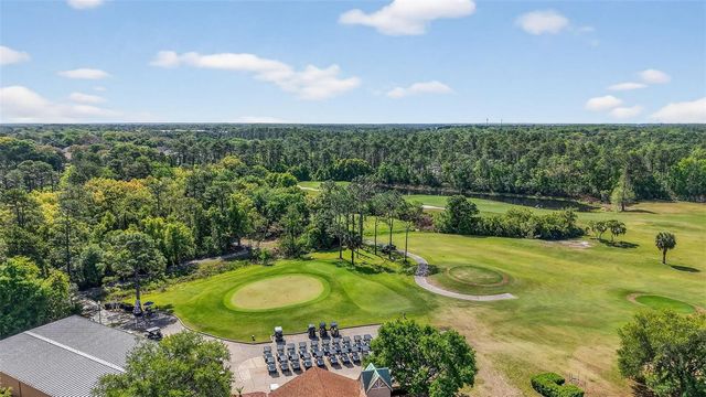 6027 SPRING CREEK COURT, Mount Dora, FL 32757