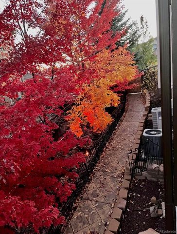 2973 Breezy Lane, Castle Rock, CO 80109